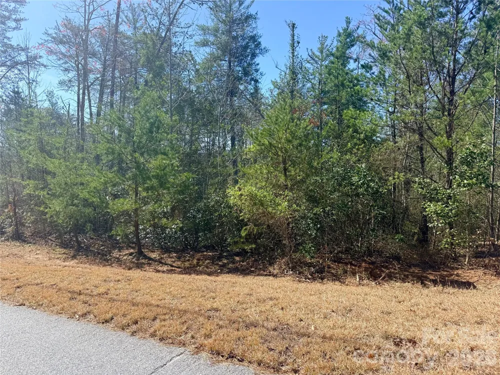 TBD John Wilson Lane Collettsville, NC 28645