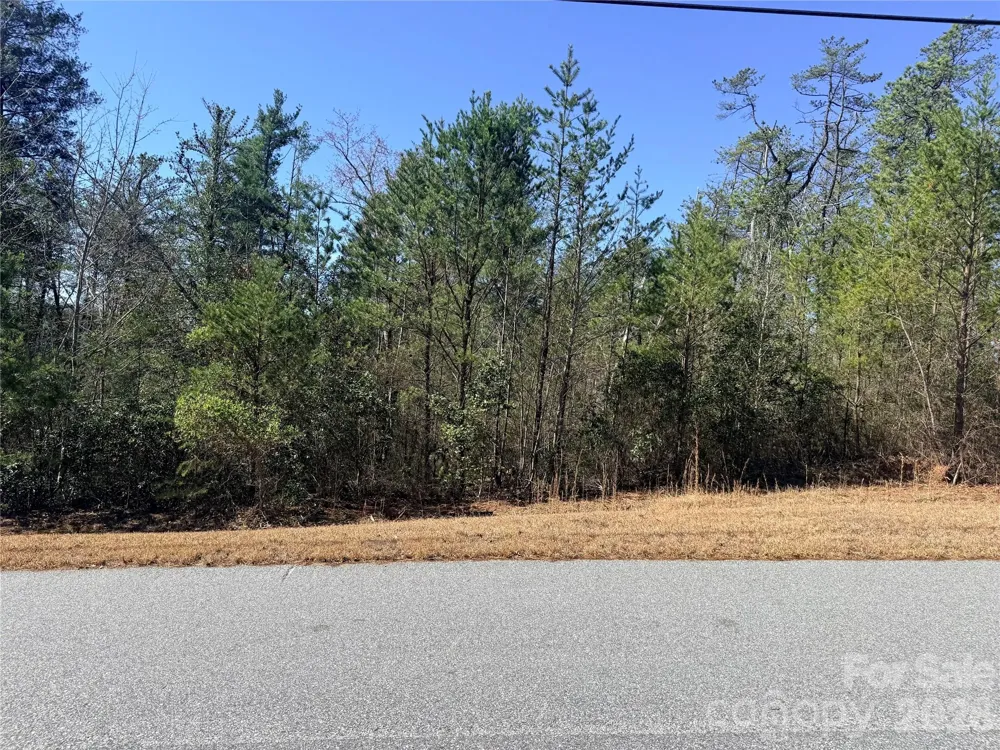 TBD John Wilson Lane Collettsville, NC 28645