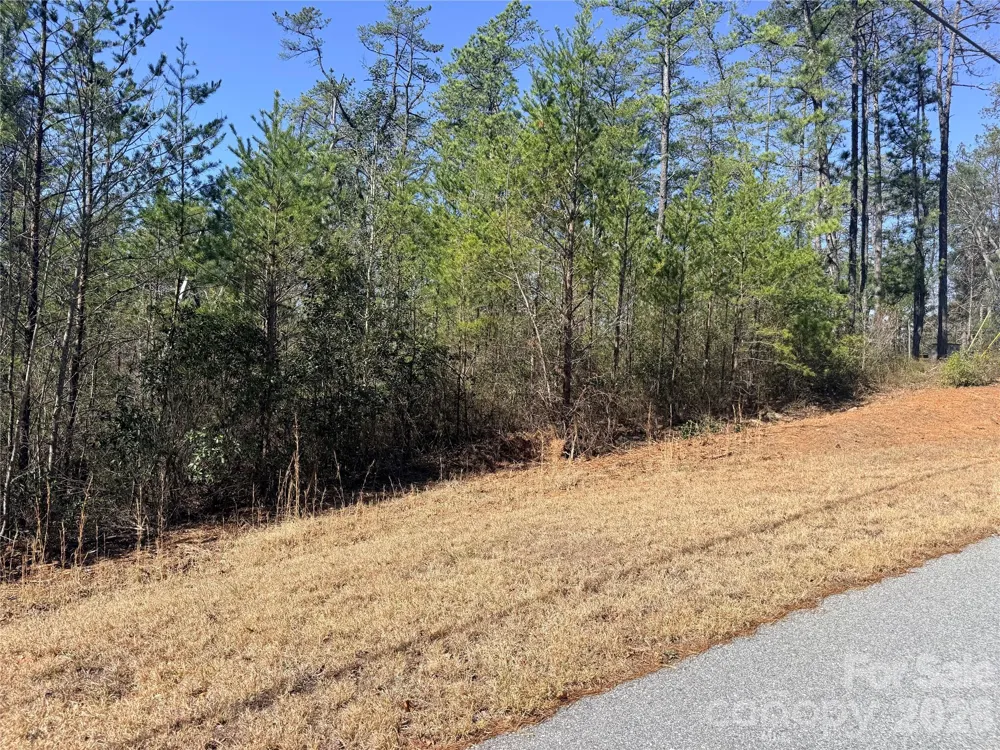 TBD John Wilson Lane Collettsville, NC 28645