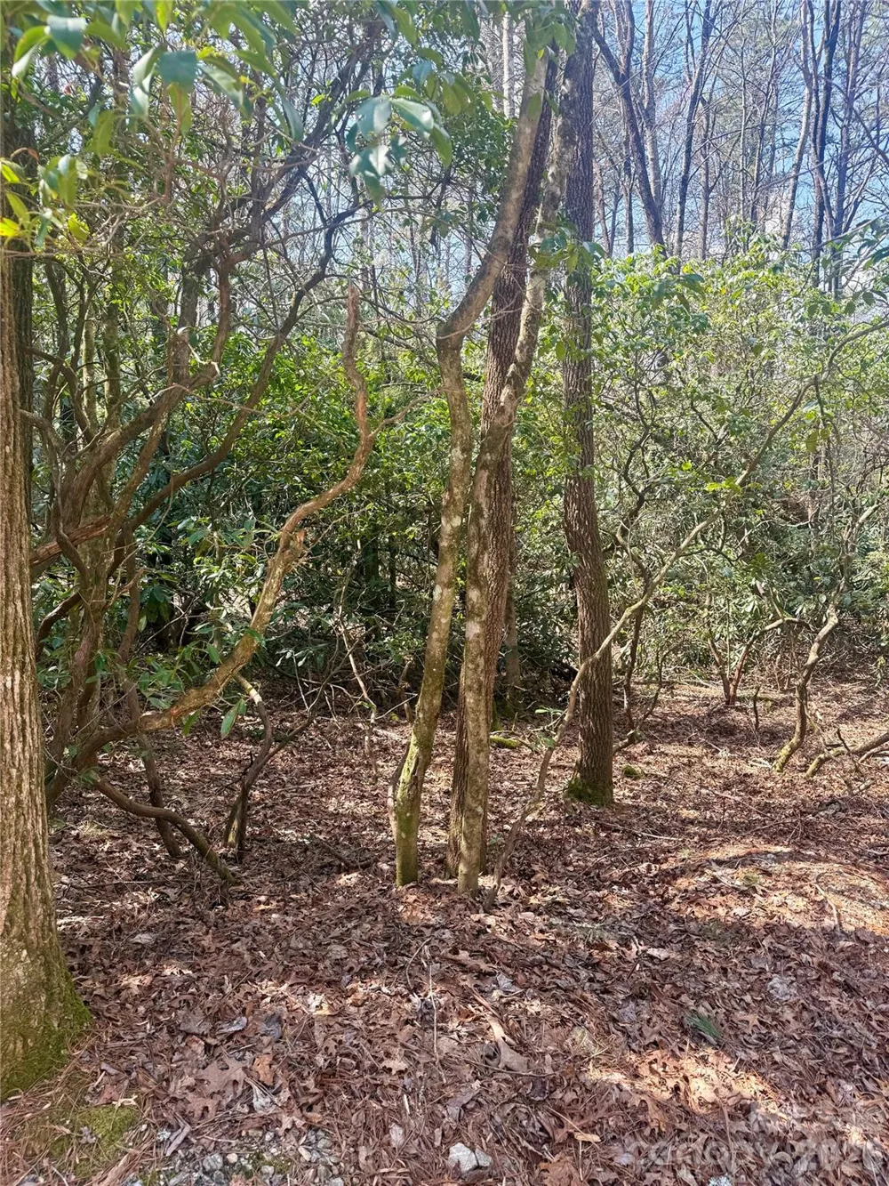 TBD Minerva Lane #Lots 79,80,84 Sapphire, NC 28774