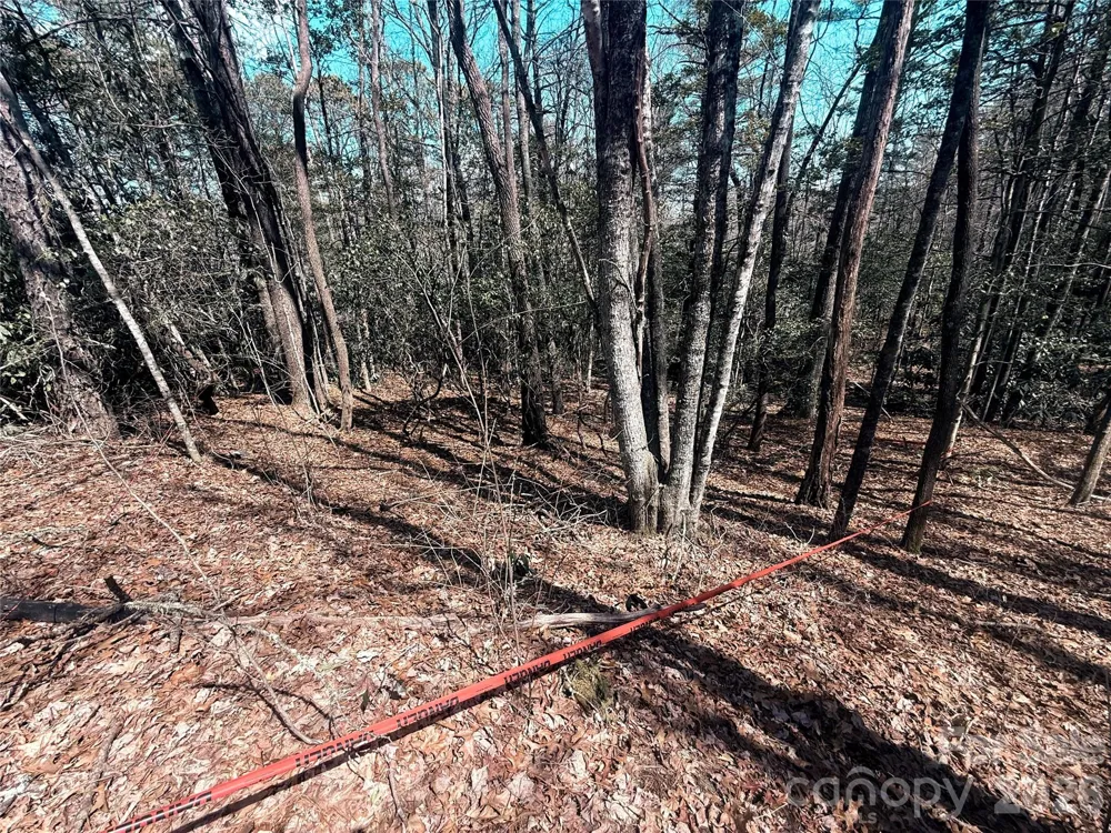 TBD Minerva Lane #Lots 79,80,84 Sapphire, NC 28774