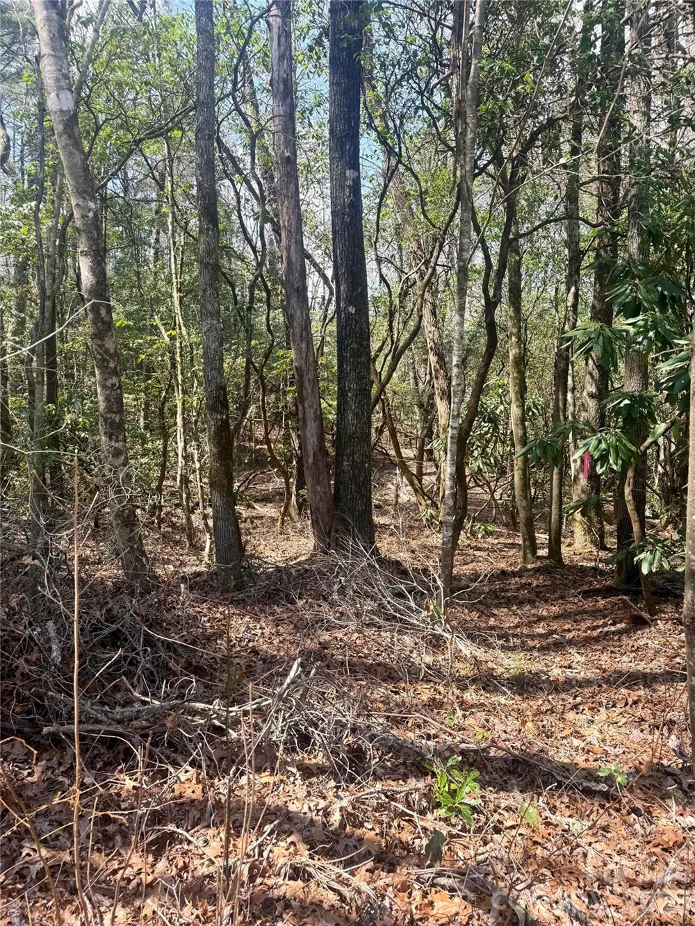 TBD Minerva Lane #Lots 79,80,84 Sapphire, NC 28774