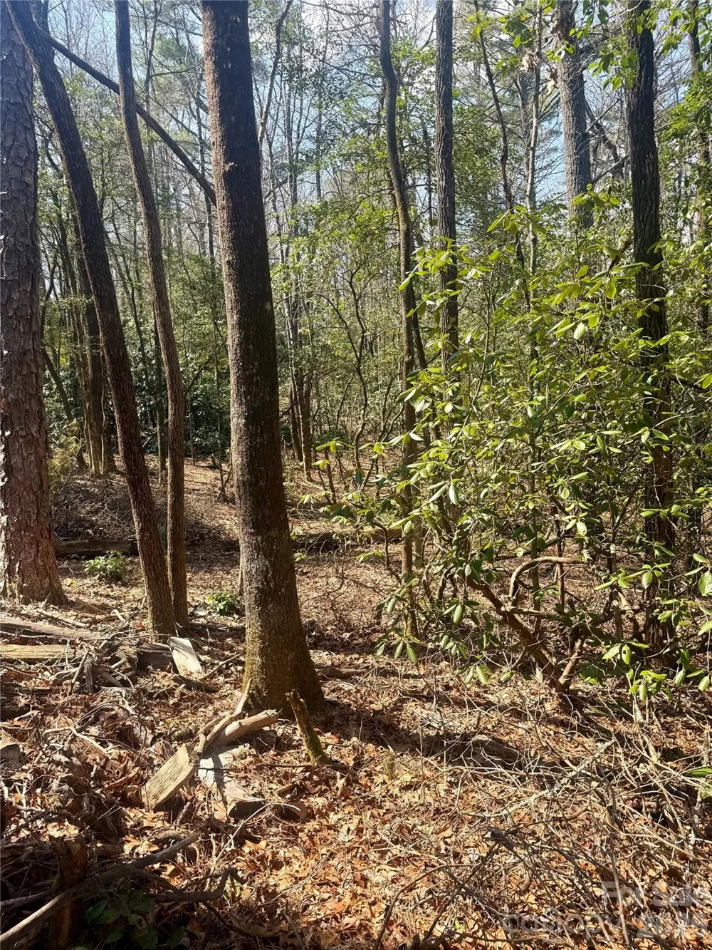 TBD Minerva Lane #Lots 79,80,84 Sapphire, NC 28774