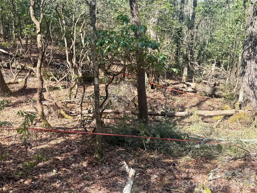 TBD Minerva Lane #Lots 79,80,84 Sapphire, NC 28774