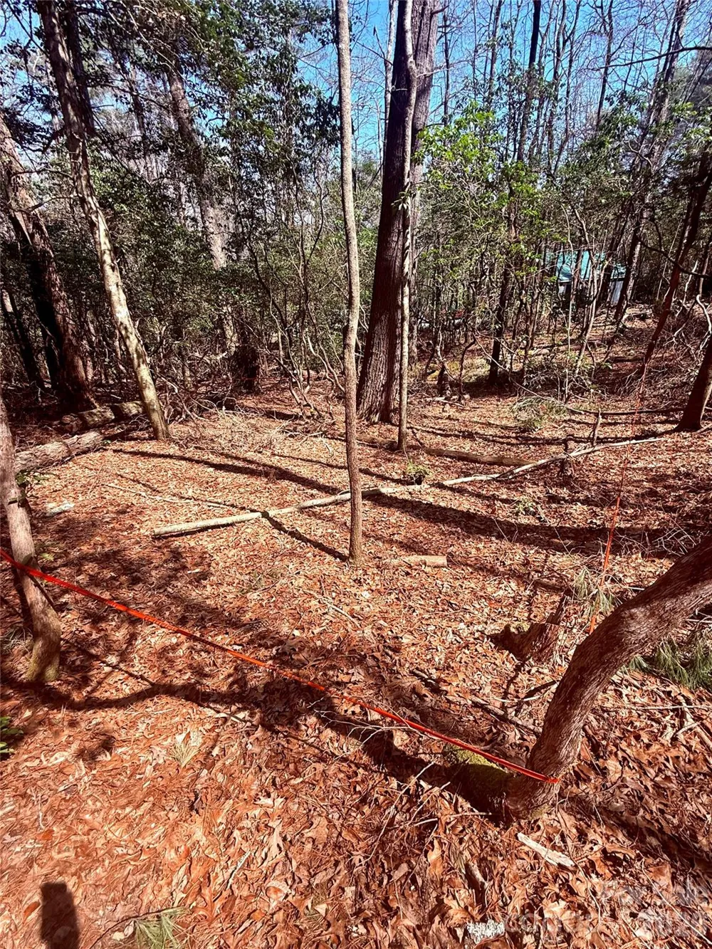 TBD Minerva Lane #Lots 79,80,84 Sapphire, NC 28774