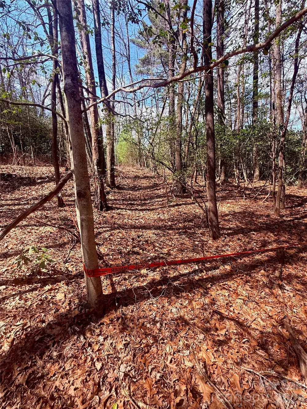 TBD Minerva Lane #Lots 79,80,84 Sapphire, NC 28774