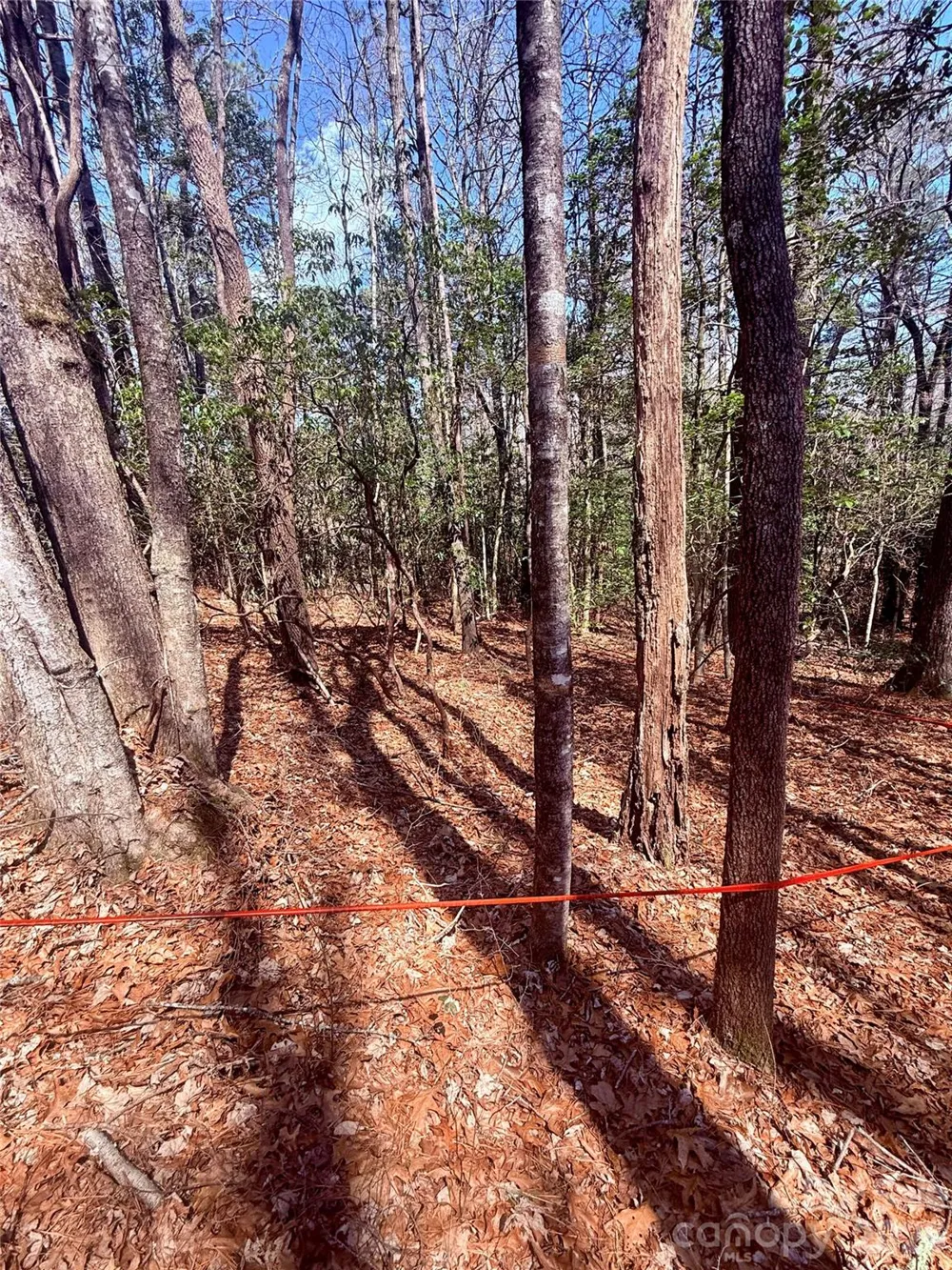 TBD Minerva Lane #Lots 79,80,84 Sapphire, NC 28774