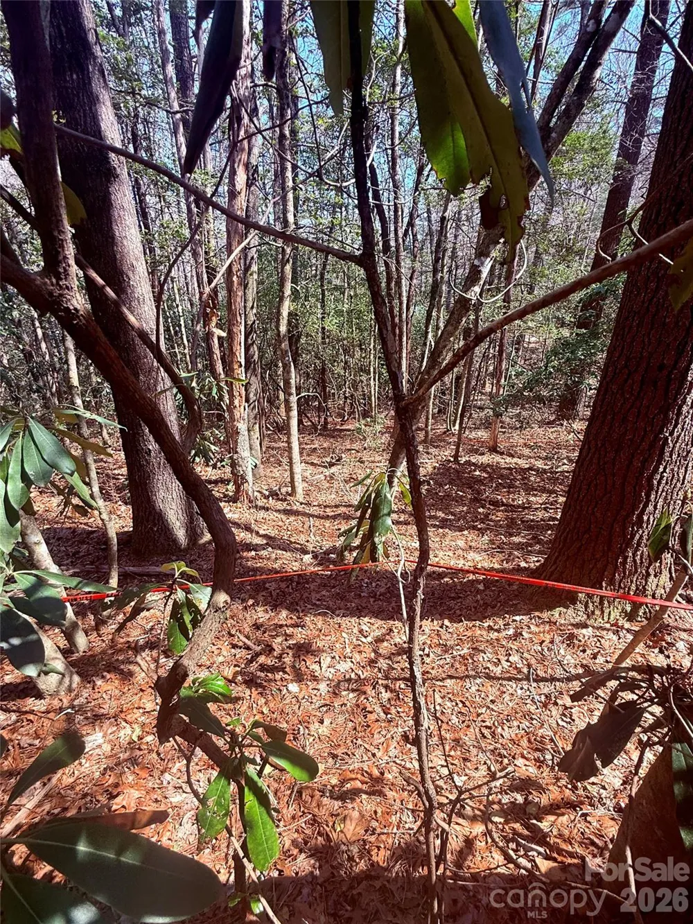 TBD Minerva Lane #Lots 79,80,84 Sapphire, NC 28774