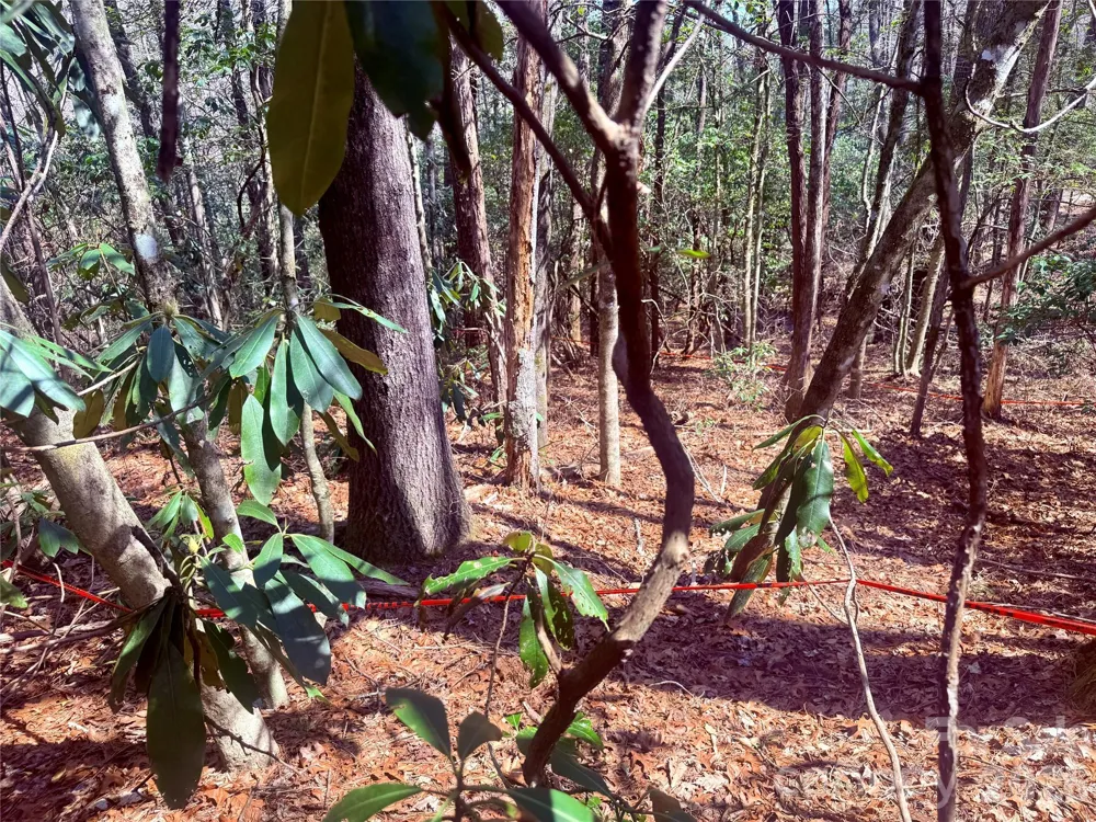 TBD Minerva Lane #Lots 79,80,84 Sapphire, NC 28774