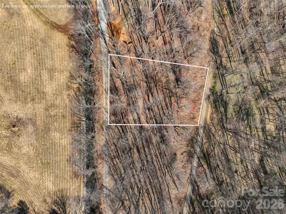 Lot 32 Strawberry Ridge Road Little Switzerland, NC 28749