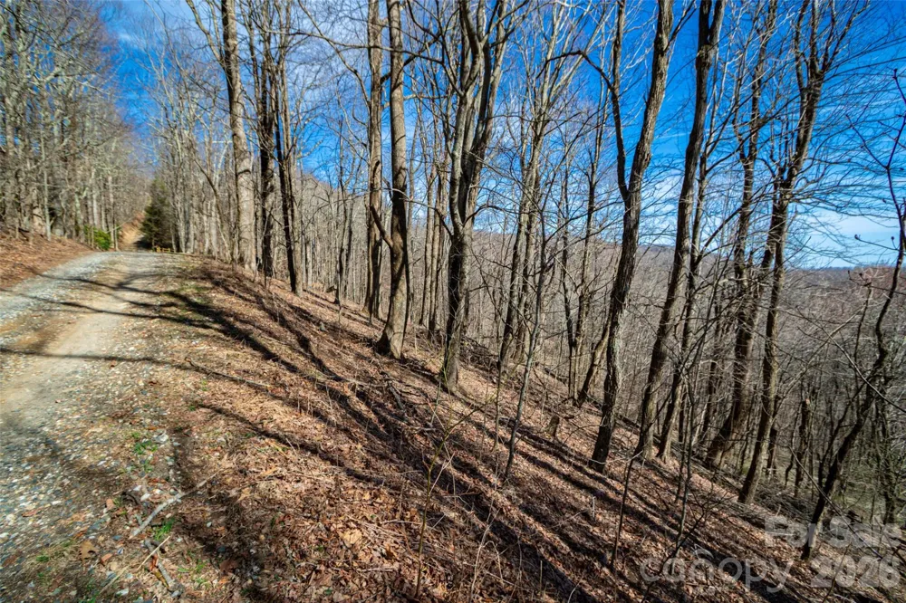 Lot 32 Strawberry Ridge Road Little Switzerland, NC 28749