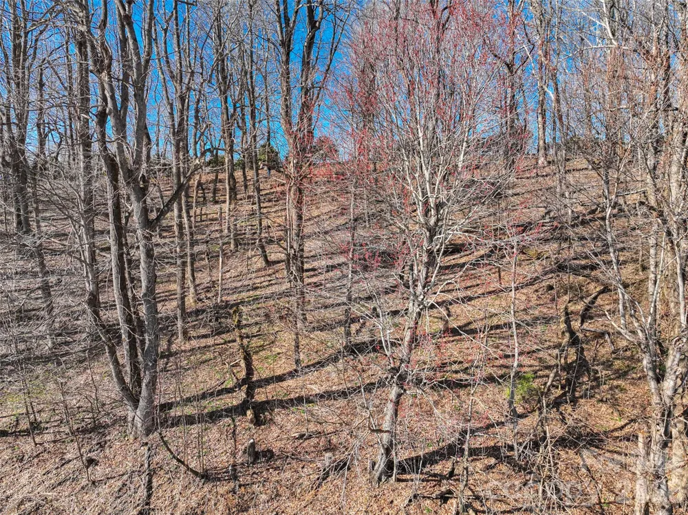Lot 32 Strawberry Ridge Road Little Switzerland, NC 28749