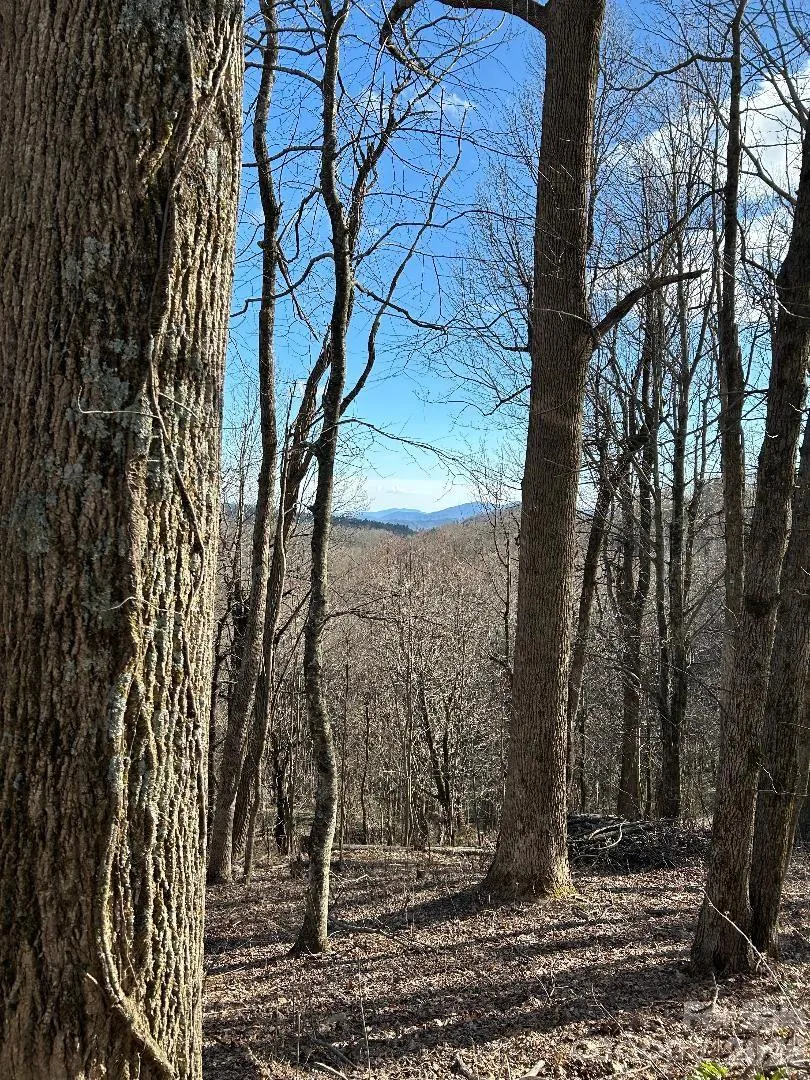 Lot 32 Strawberry Ridge Road Little Switzerland, NC 28749