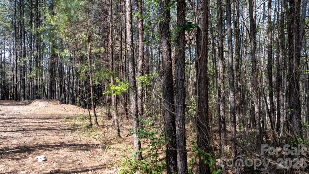 3486 Mooring Place Sherrills Ford, NC 28673