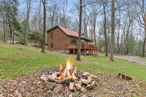 541 Black Ankle Creek Road