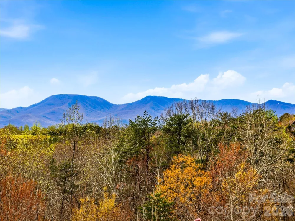 286 Preservation Trail Columbus, NC 28722