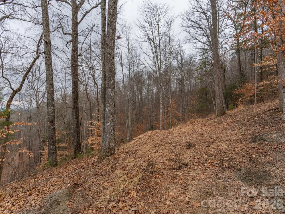 189 Sandys Home Place #Lot 7B Mars Hill, NC 28754