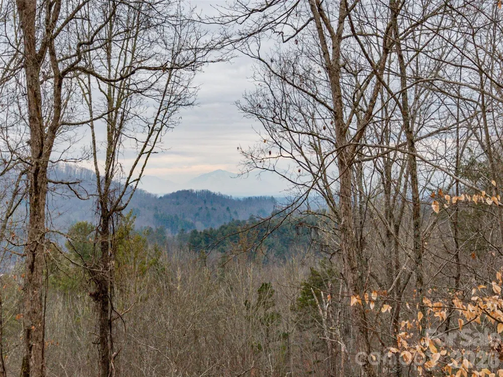 189 Sandys Home Place #Lot 7B Mars Hill, NC 28754