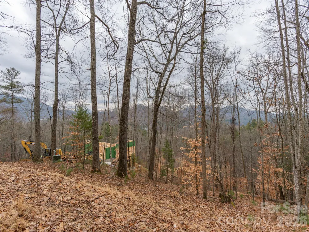 189 Sandys Home Place #Lot 7B Mars Hill, NC 28754