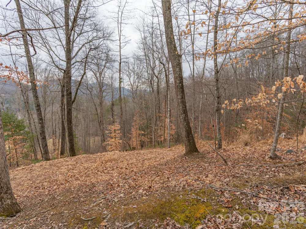 189 Sandys Home Place #Lot 7B Mars Hill, NC 28754