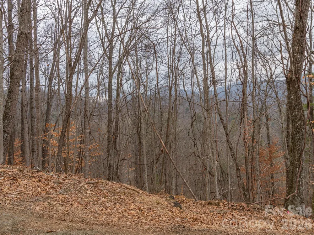 189 Sandys Home Place #Lot 7B Mars Hill, NC 28754