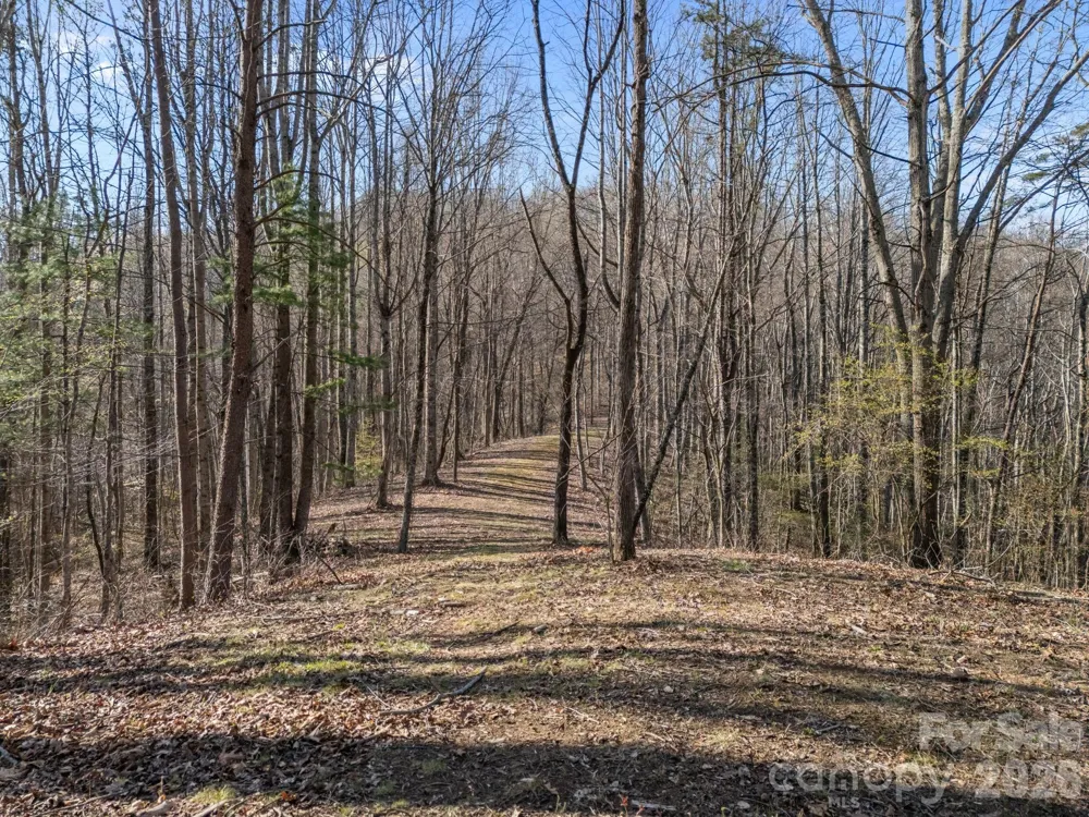 9999 Hidden Cove Road Leicester, NC 28748