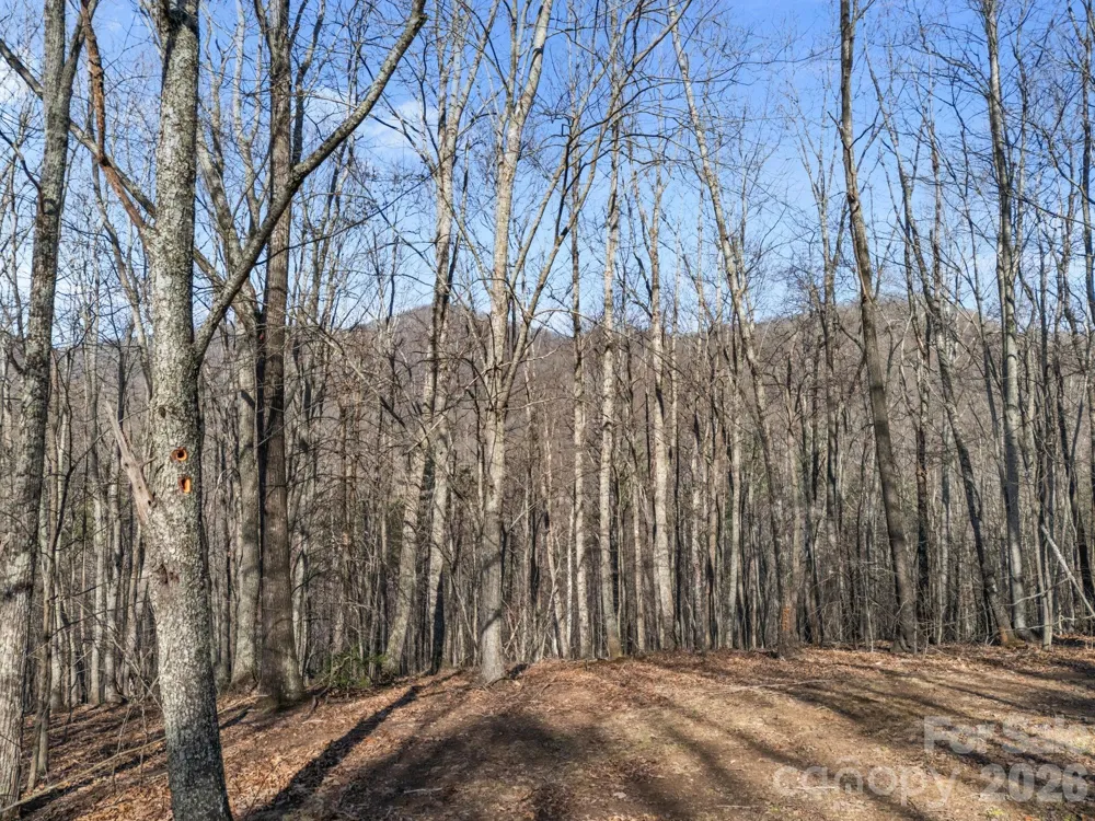 9999 Hidden Cove Road Leicester, NC 28748