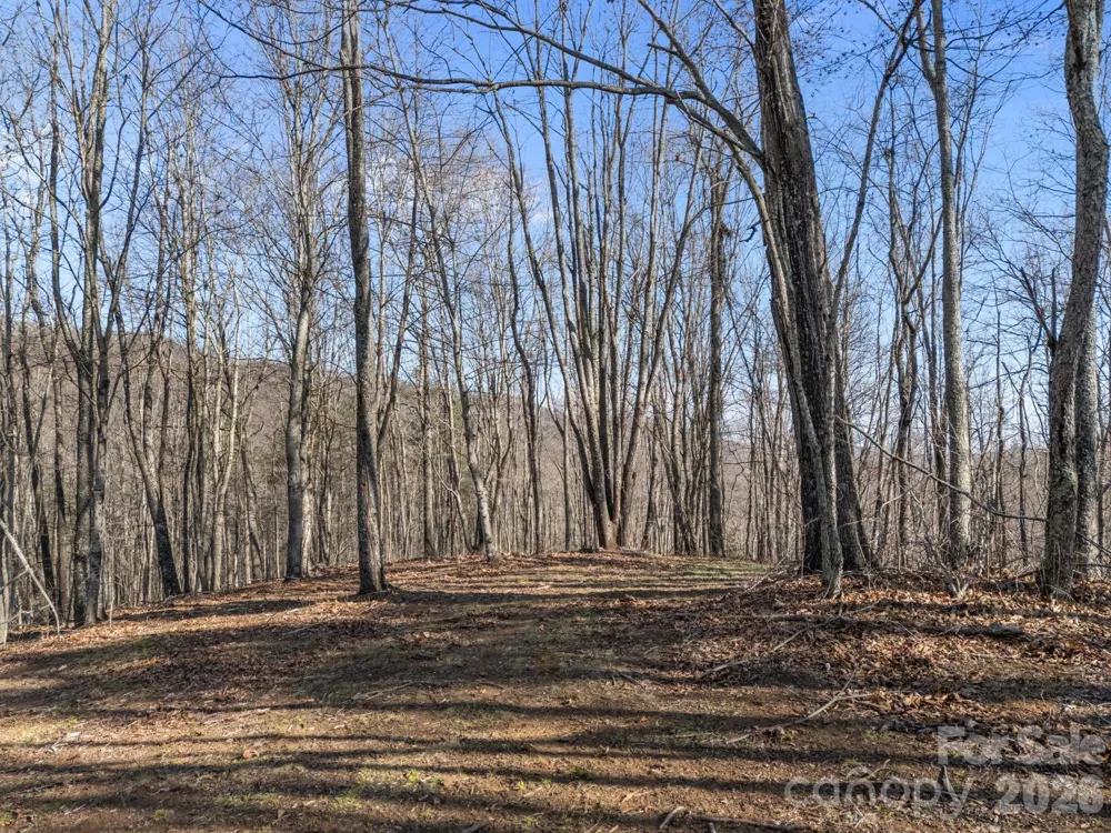 9999 Hidden Cove Road Leicester, NC 28748