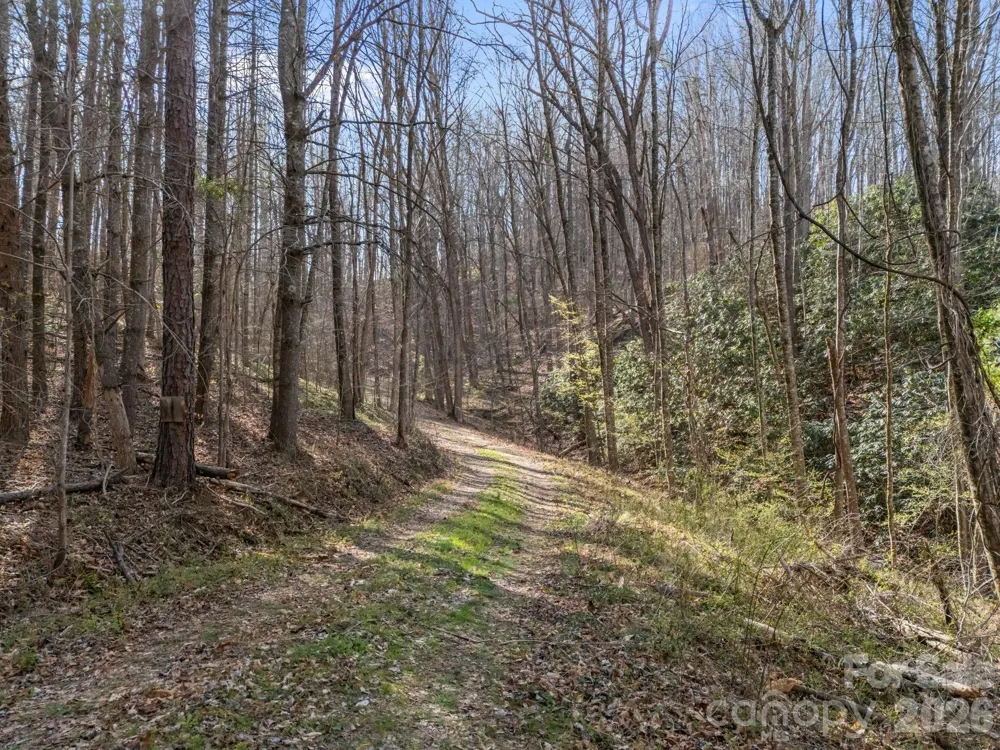 9999 Hidden Cove Road Leicester, NC 28748