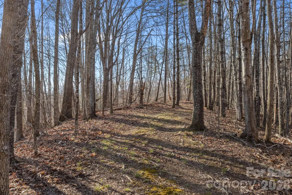 9999 Hidden Cove Road Leicester, NC 28748