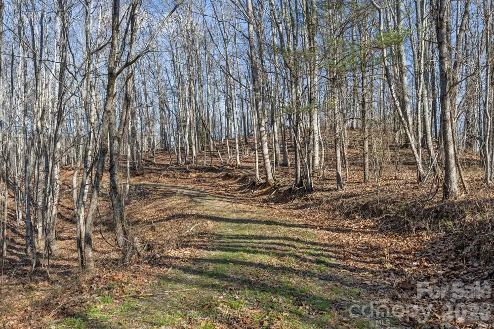 9999 Hidden Cove Road Leicester, NC 28748