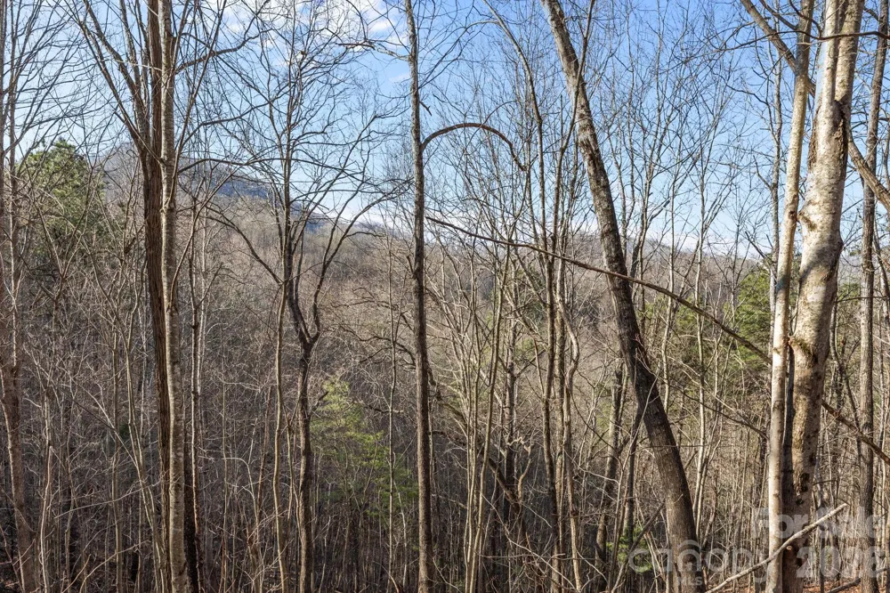 9999 Hidden Cove Road Leicester, NC 28748