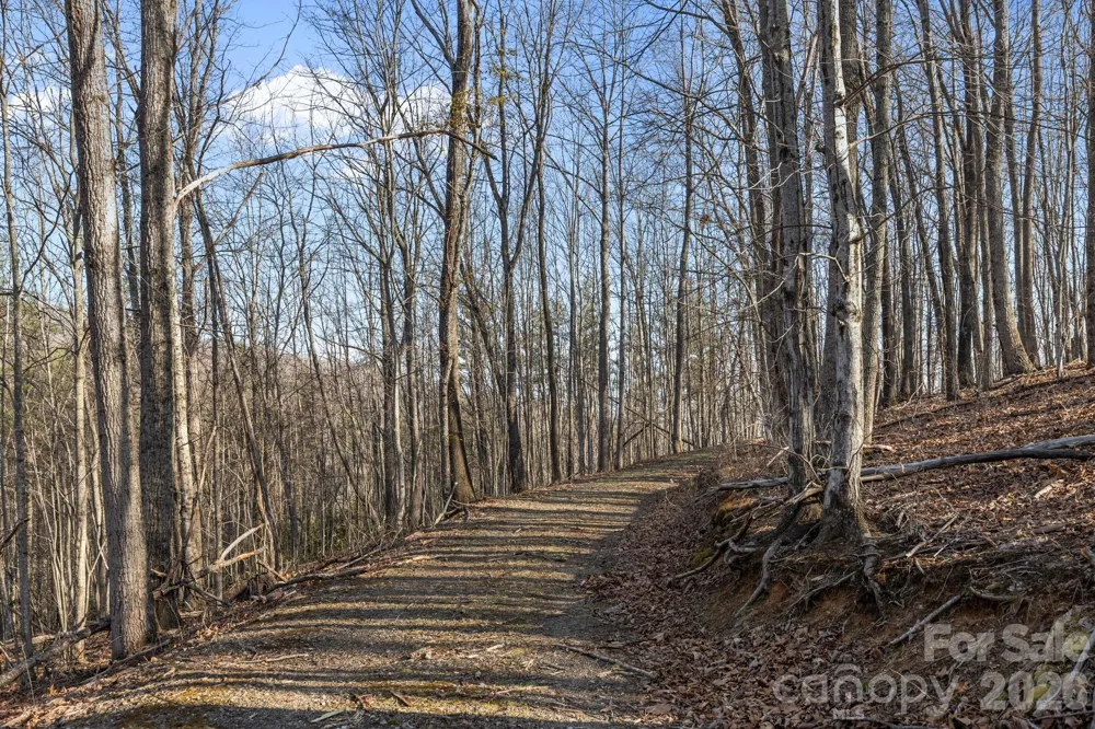 9999 Hidden Cove Road Leicester, NC 28748