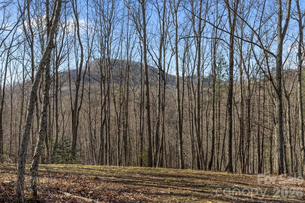9999 Hidden Cove Road Leicester, NC 28748