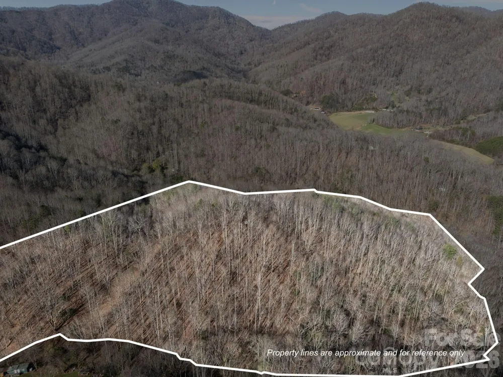 9999 Hidden Cove Road Leicester, NC 28748