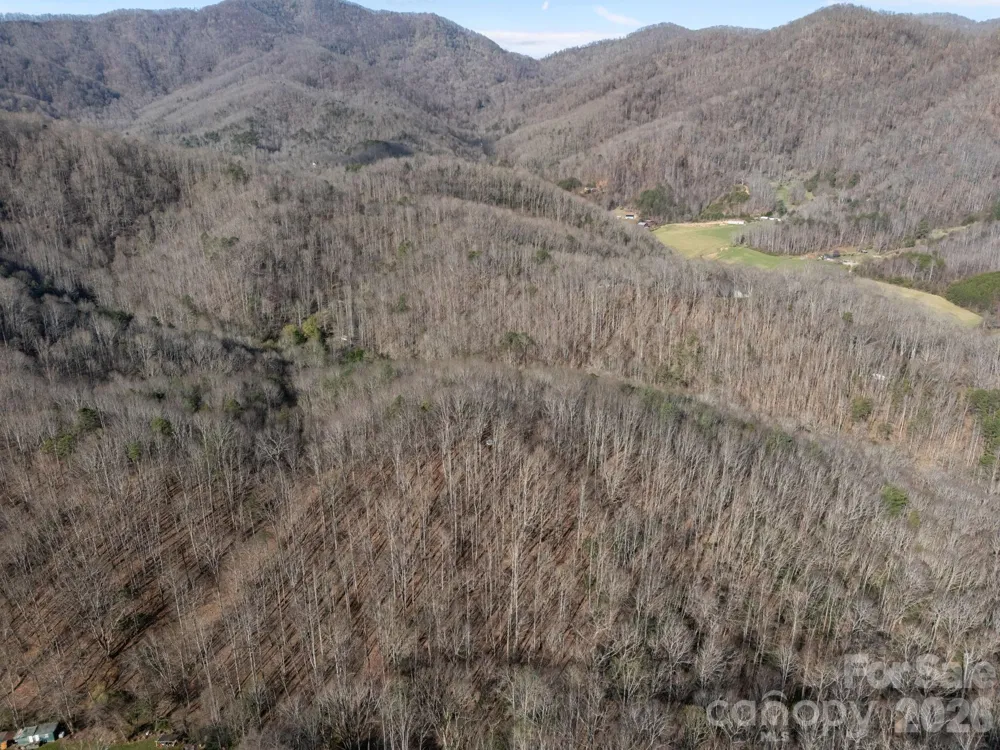 9999 Hidden Cove Road Leicester, NC 28748