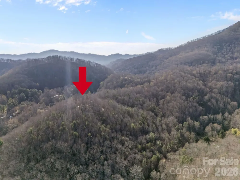 9999 Hidden Cove Road Leicester, NC 28748