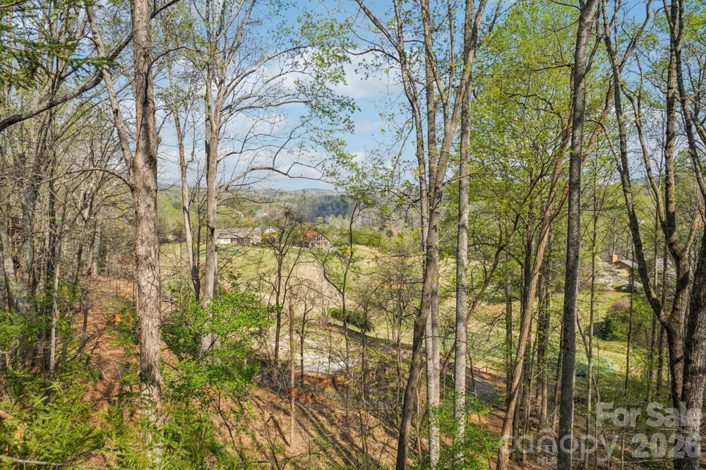 409 Whitney Boulevard Lake Lure, NC 28746