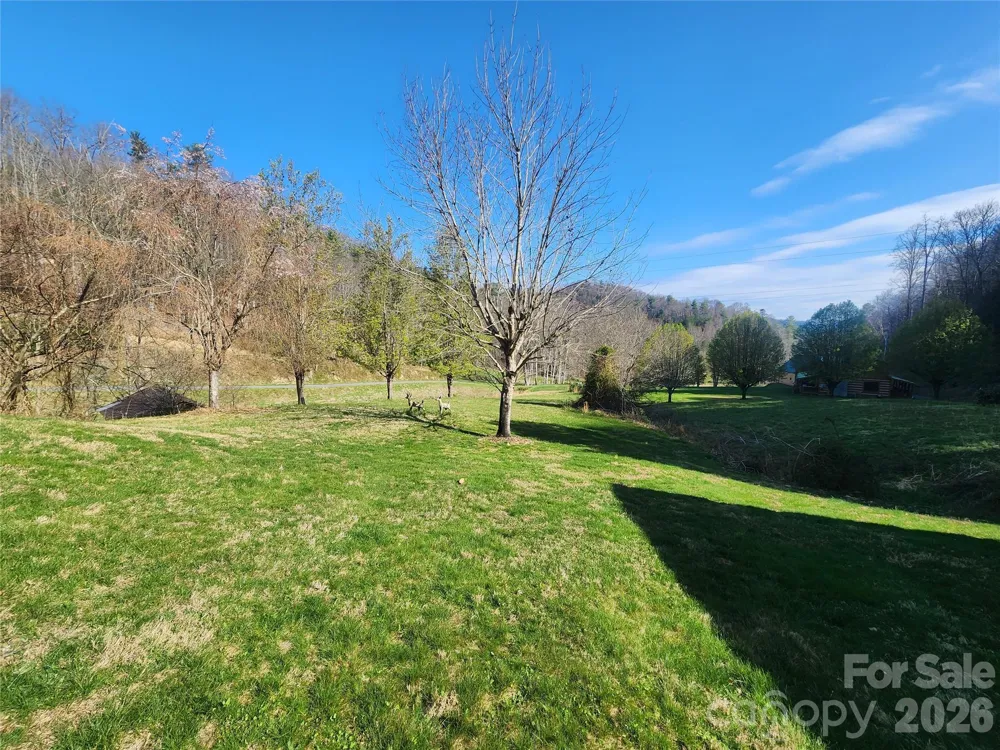 1025 Chandler Cove Road Marshall, NC 28753
