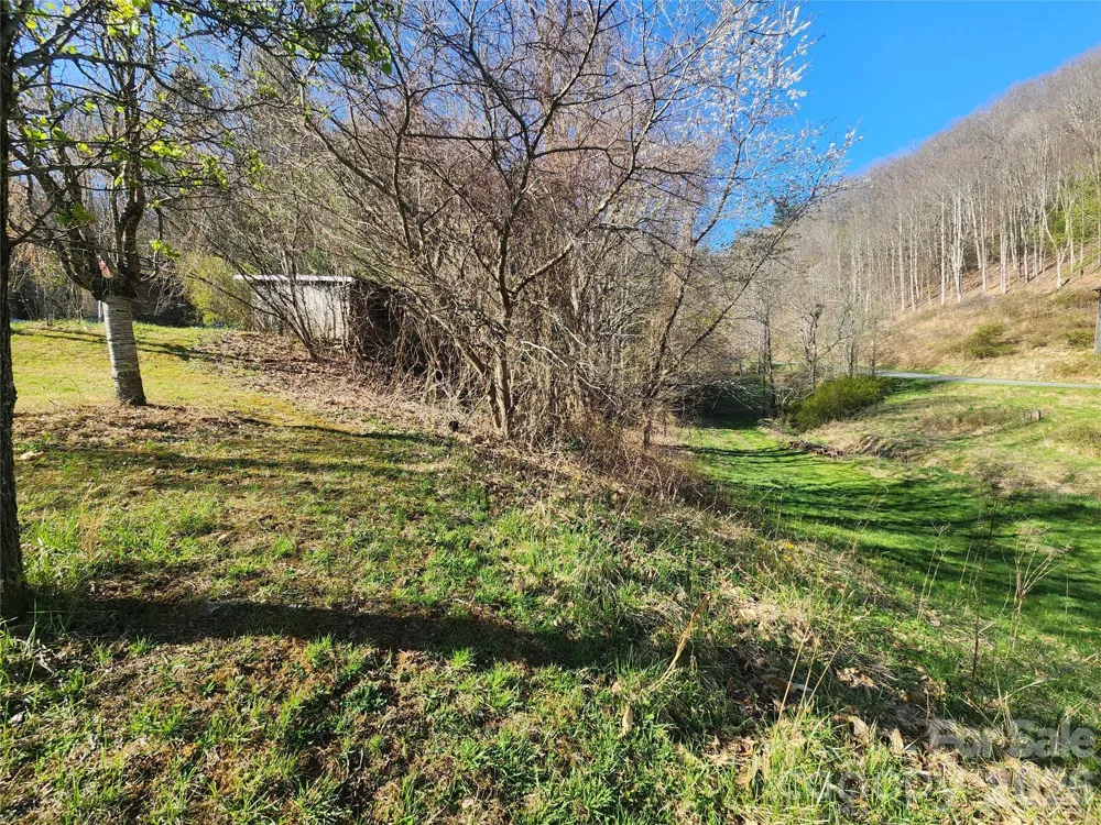 1025 Chandler Cove Road Marshall, NC 28753
