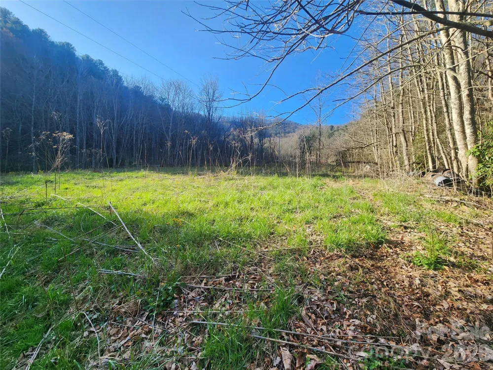 1025 Chandler Cove Road Marshall, NC 28753