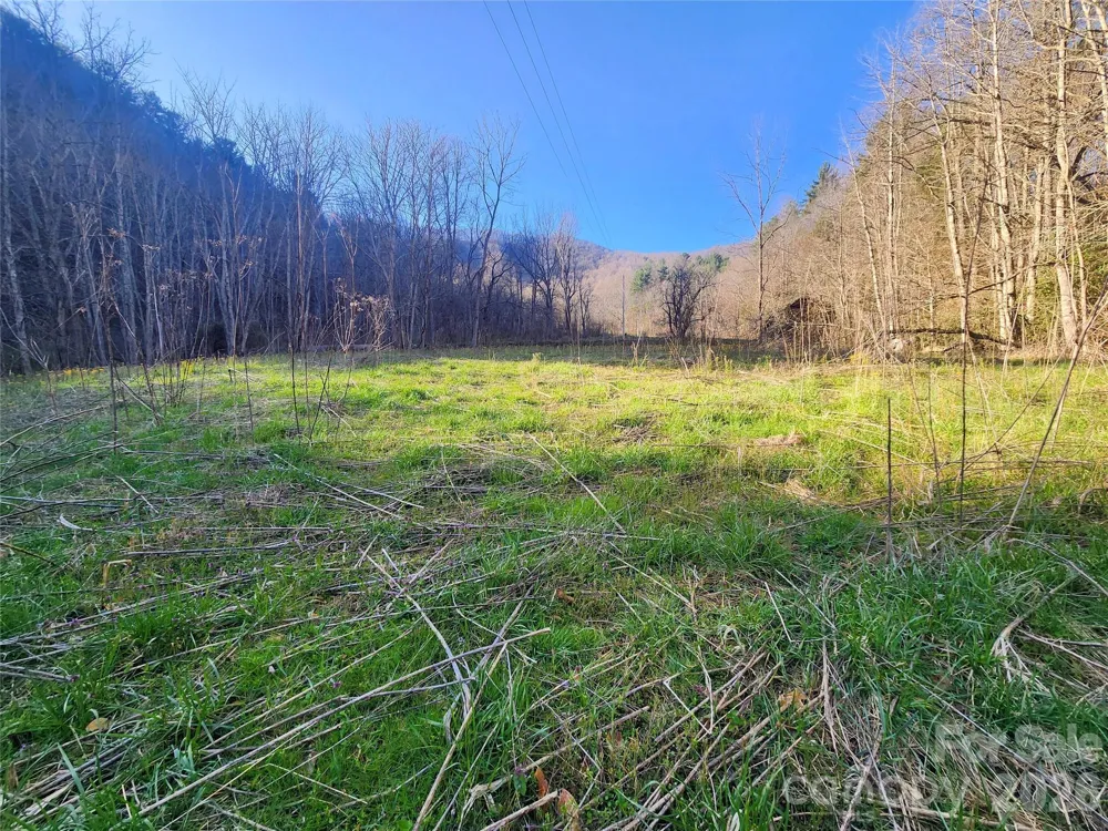 1025 Chandler Cove Road Marshall, NC 28753