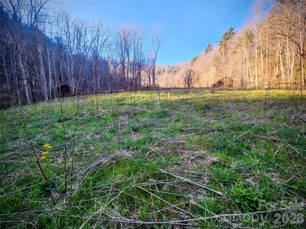 1025 Chandler Cove Road Marshall, NC 28753
