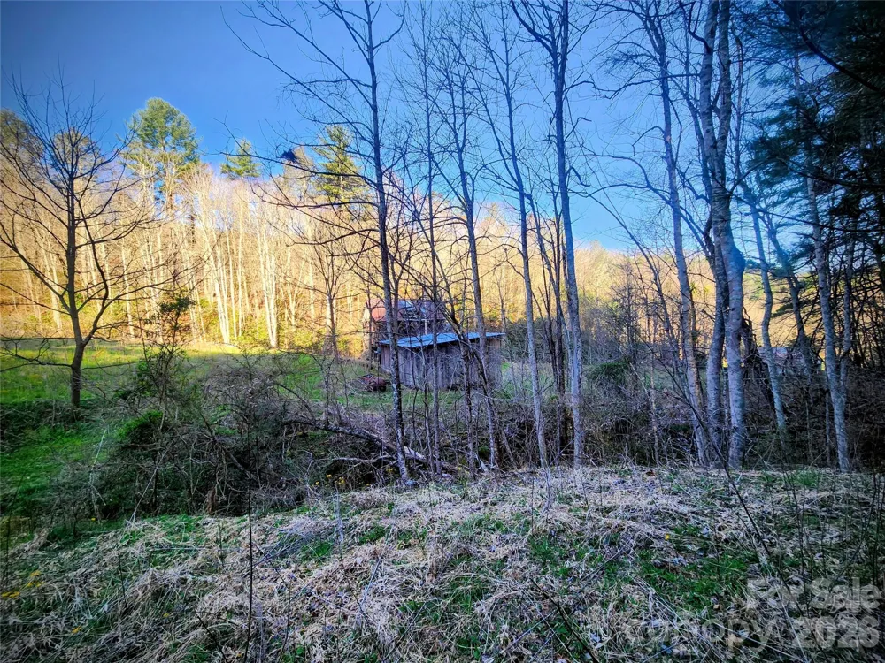 1025 Chandler Cove Road Marshall, NC 28753
