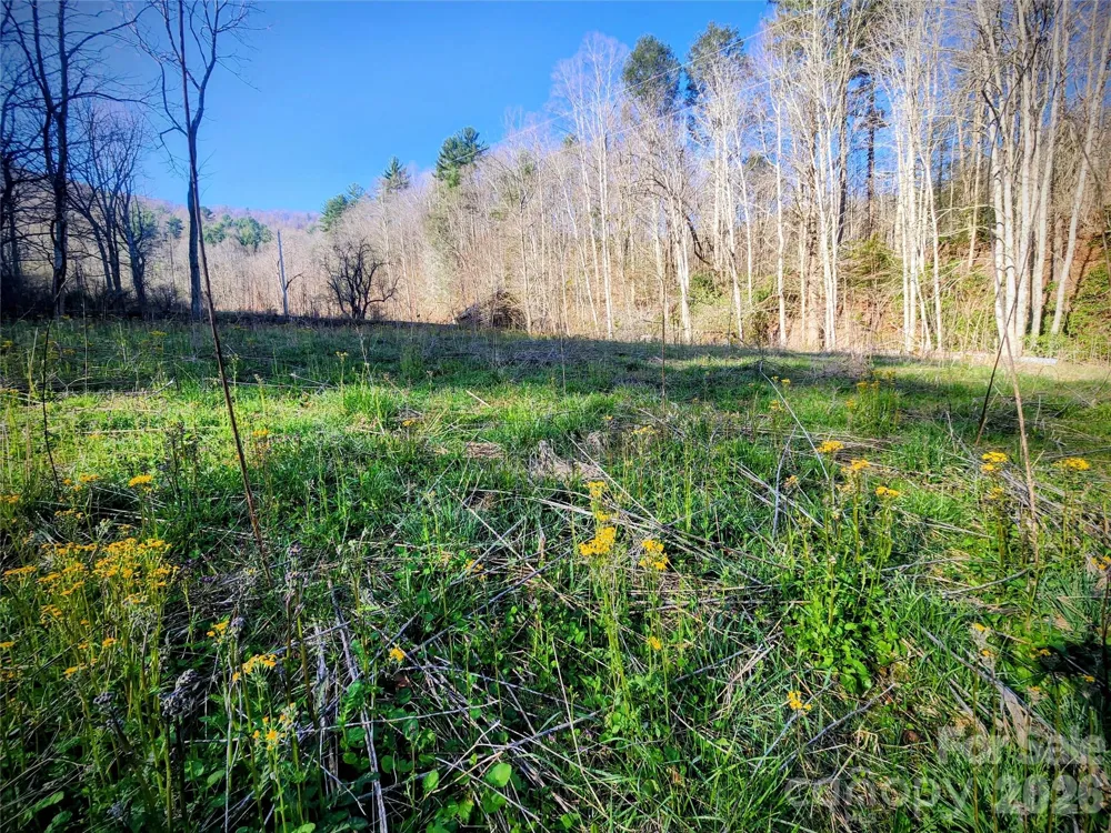 1025 Chandler Cove Road Marshall, NC 28753