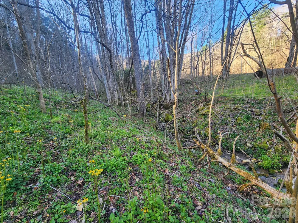 1025 Chandler Cove Road Marshall, NC 28753