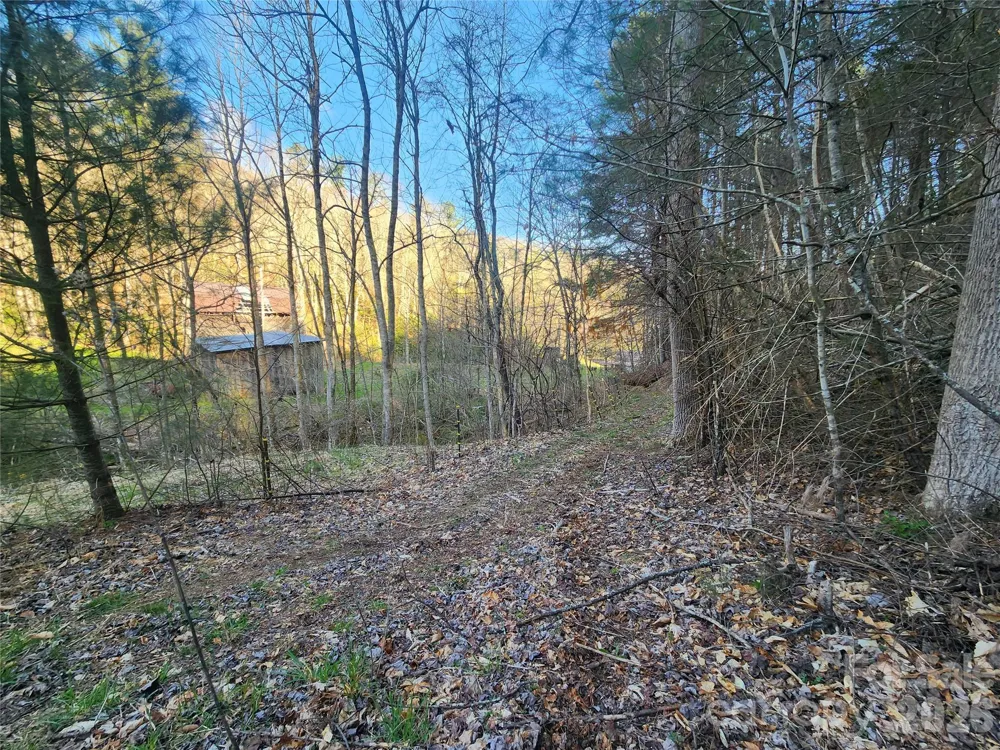 1025 Chandler Cove Road Marshall, NC 28753