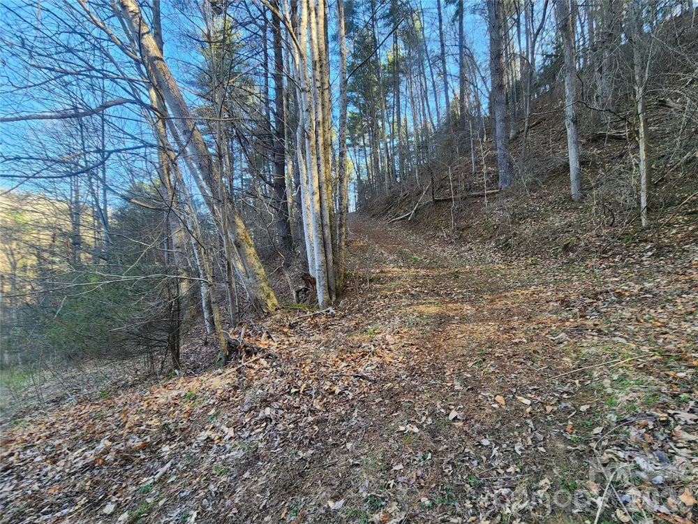 1025 Chandler Cove Road Marshall, NC 28753