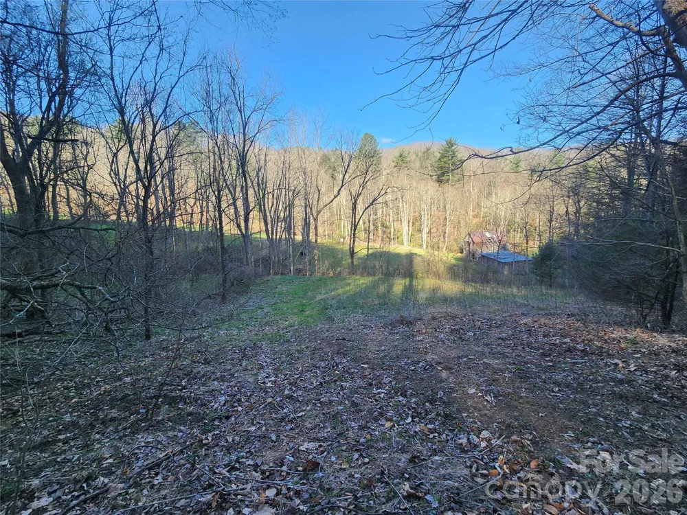 1025 Chandler Cove Road Marshall, NC 28753