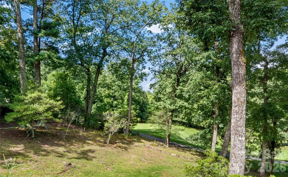 1502 Greenstreet Drive Traphill, NC 28685